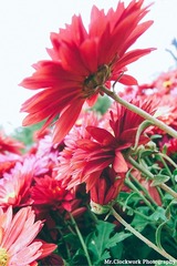 P1070171