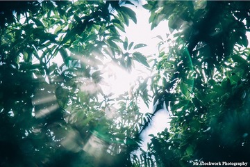 P107024b
