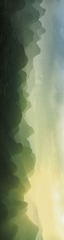 万山朝王