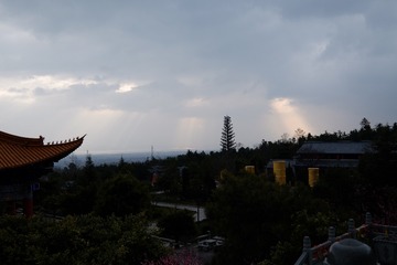 WSCF5619