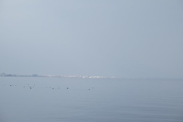 WSCF5698