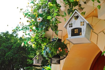 SDIM4594_DxO