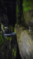 绿野仙踪！！