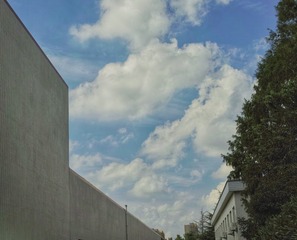 1630651