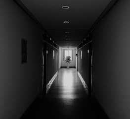2139051