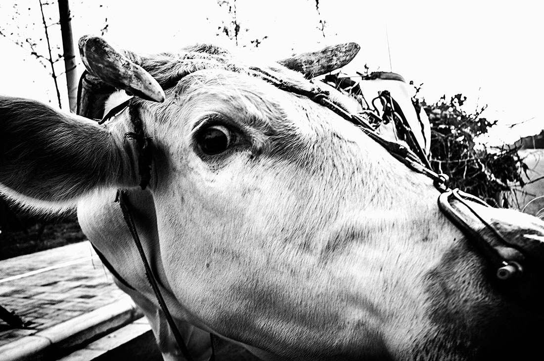 魔幻街头3 - 纪实, 黑白, 街拍, 街拍中国六月赛