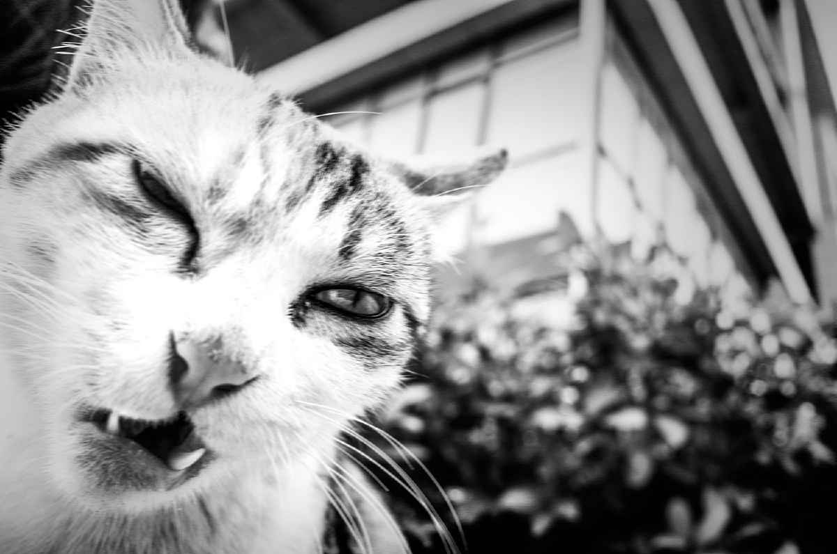 魔幻街头3 - 纪实, 黑白, 街拍, 街拍中国六月赛