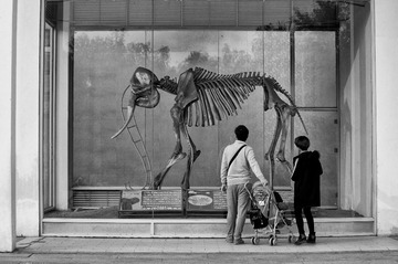 zoo-12