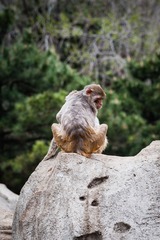 DSC_0544-1