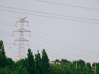 495190
