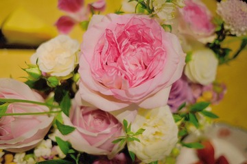 CA4E9C13-408F-4DBC-98D2-4ABF47B5894B/L0/001