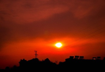 P1010117