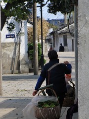 IMG_0020 (19)