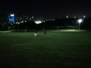 260319