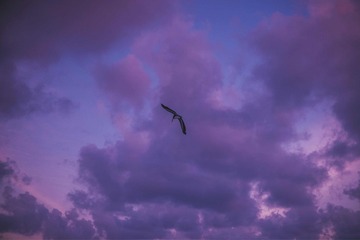 001