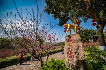 _DSC6377-编辑
