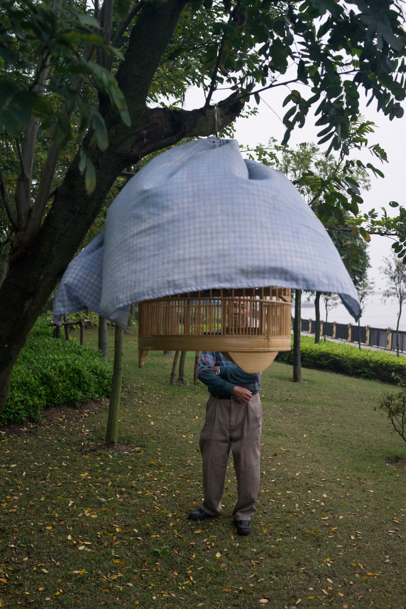 每天清晨林伯提着鸟笼来到河边散步,因新养的八哥怕生,鸟叔用一块布将