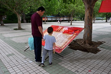 LZY_2911_00014