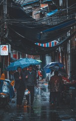1E16FD21-EE59-42C1-AF0E-5B652CE2892C/L0/001