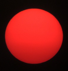 3618704