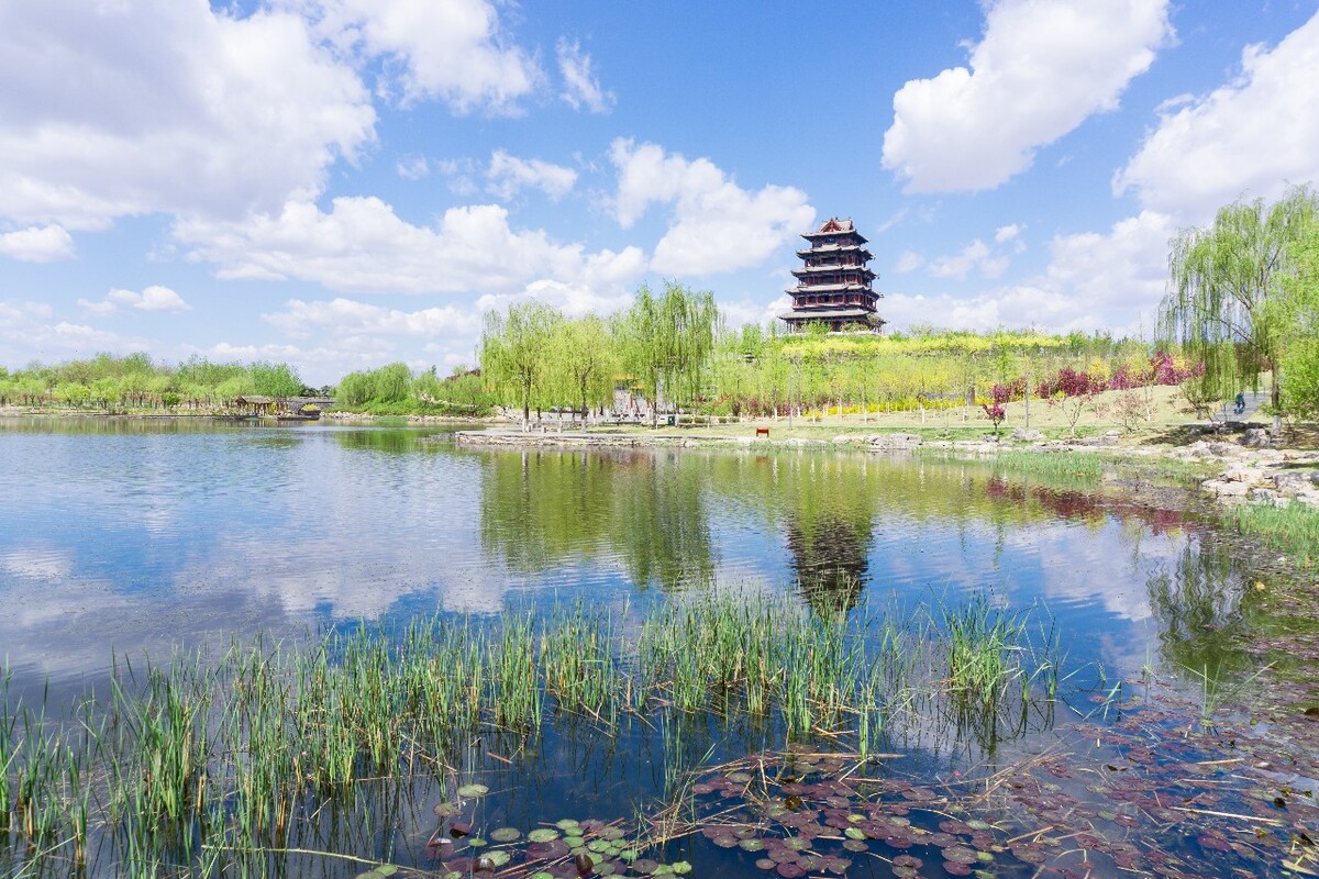 ɽʡǨ