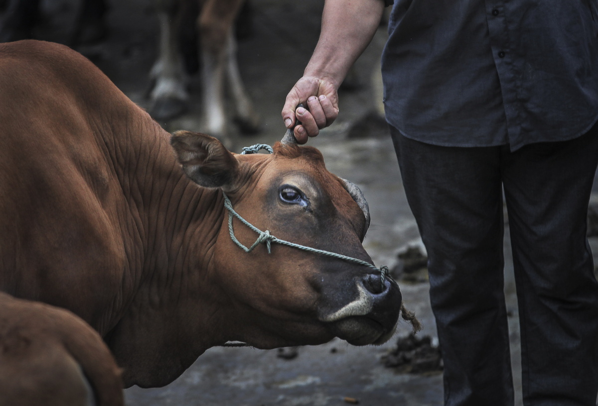 四百年牛市依然"疯狂"