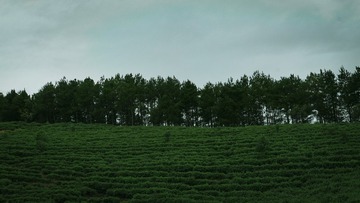 1BB8B8F4-91C1-47B4-B301-B2C4C6A892FF/L0/001