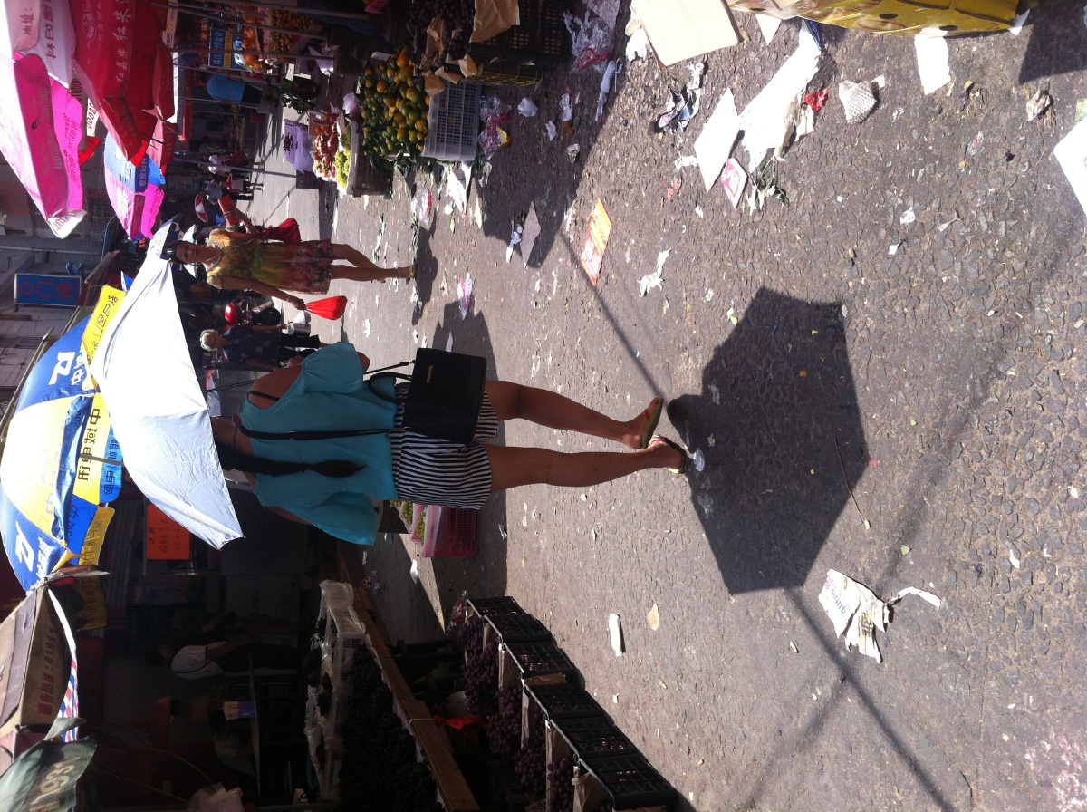 西伯利亚来客漂在珠三角