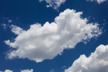 8FFD87D0-ACCA-4FCE-A2AA-50EEE2877E5E/L0/001