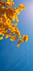 D37B5C9C-6175-4169-B820-709B5E7D2D49/L0/001