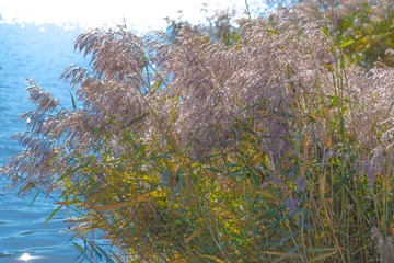 EB37F5C5-7773-4253-B3BE-0B921048C772/L0/001