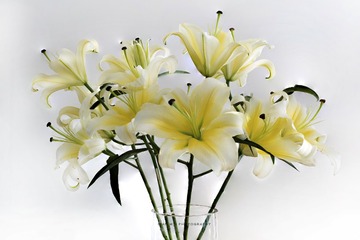 8B6DF2CB-8DB5-4E14-B1C9-16B86E885C55/L0/001