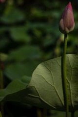 F5218181-46C9-4DEE-AC0B-3ED9E1FF56CE/L0/001