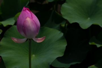 6F899113-86B6-4C36-85A5-7BA2A4365BD9/L0/001