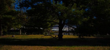 80282C2F-1E16-40D7-B9C9-9FE5A3A4D28E/L0/001