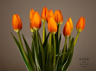 17F7FA6B-D423-4EEA-AB5C-75FBA6EE3C80/L0/001