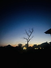 1B61960E-4220-4DB7-94F6-9C2C53F8C145/L0/001