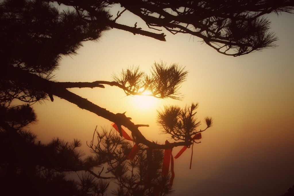 摄于庐山锦绣谷，夕阳西下，宛挂枝头；红带飘拂，意祝丰收。