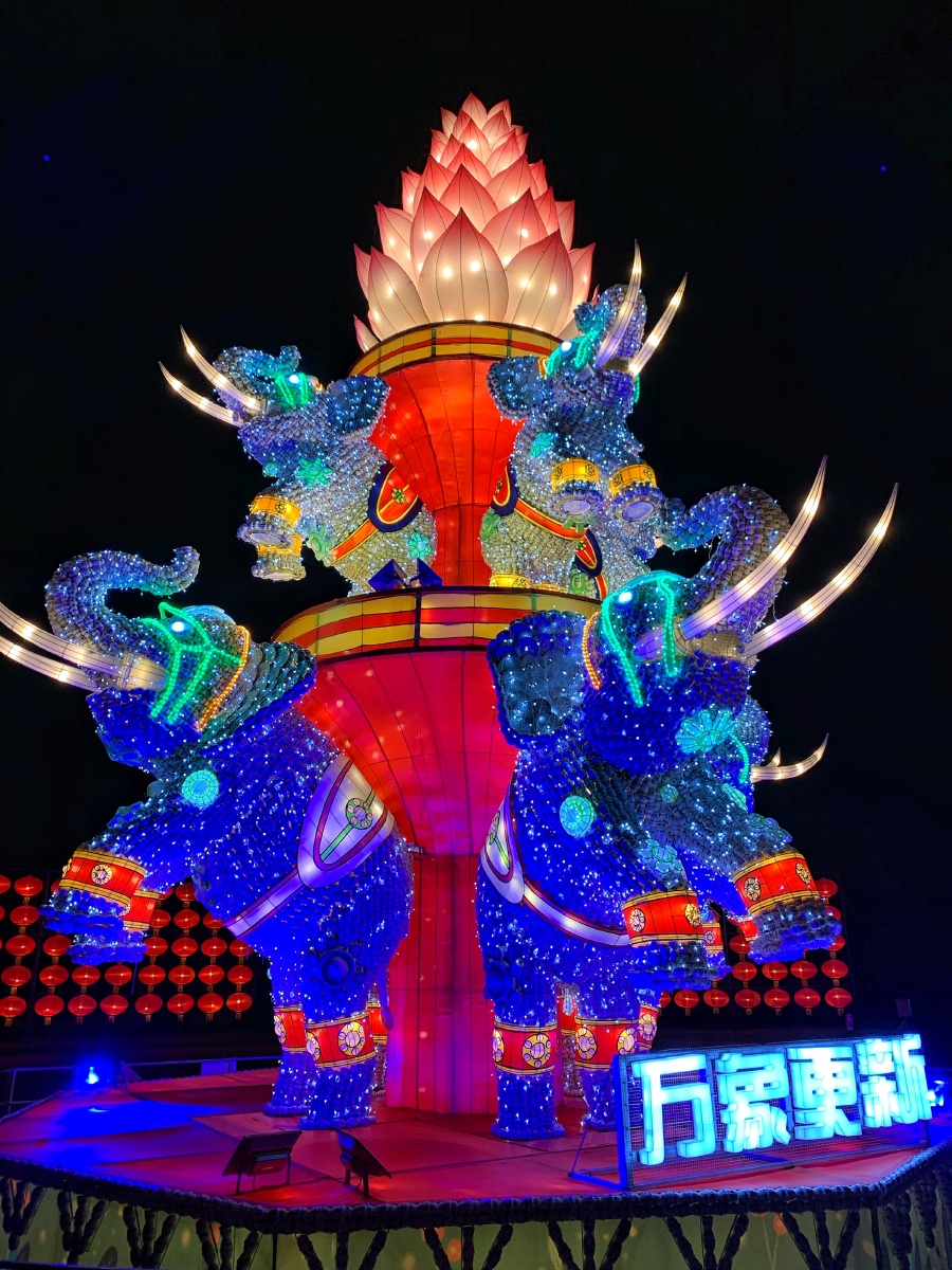 桂林园博园灯展