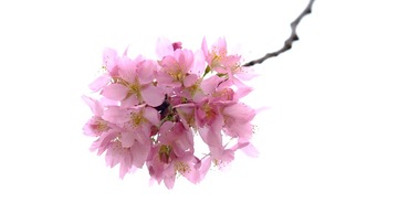 _YZJ8220_
