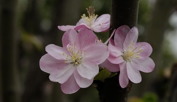 _YZJ8577