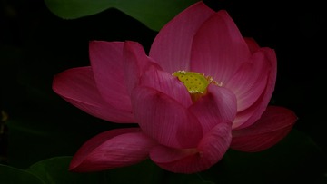 _YZJ9792