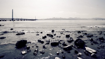 梁震宇 摄 (286)