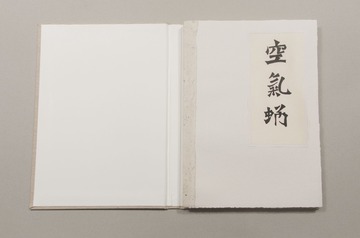 Air  chrysalis Book-0-2