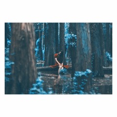 IMG_0517_