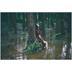 IMG_0784_