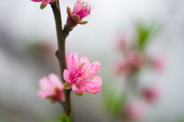 PIC_20160324_204736_BE6