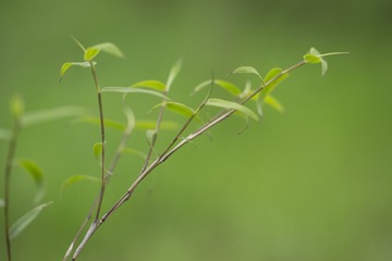 ?????_0501_0028