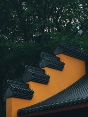 20170625_9191D358-7DB6-4F5E-8684-4E11165CF368