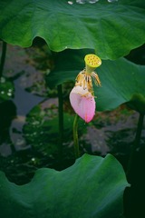 20170625_627C82F0-BBB0-4C46-AD0F-F11FEC15AA49
